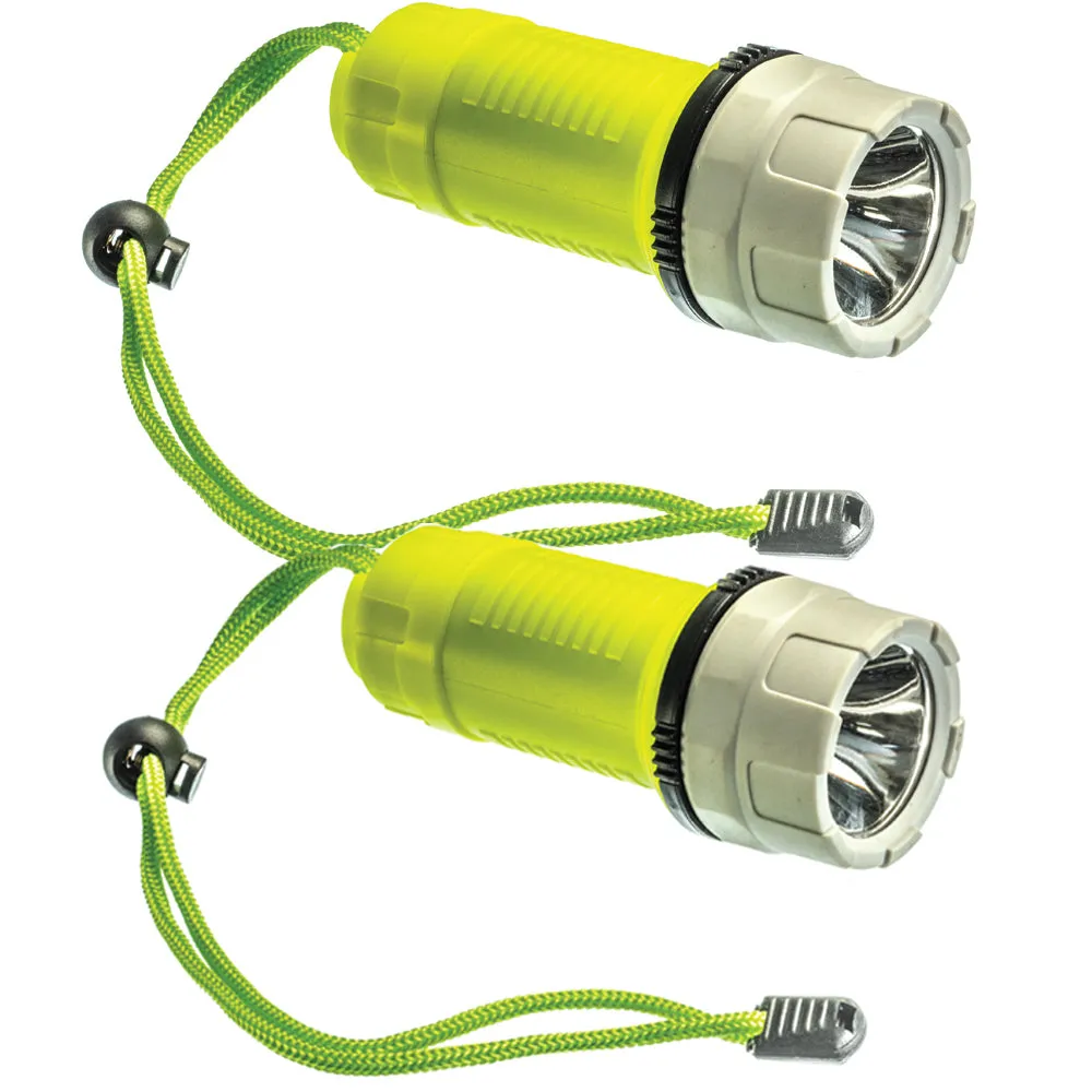 2 Dive Light Underwater 200 Lumens Diving Waterproof Flashlight Scuba Torch 50ft