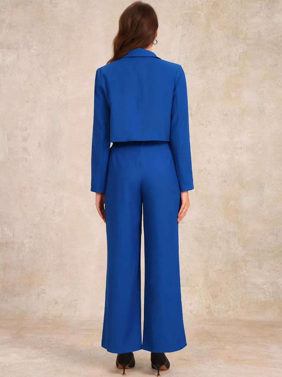 Allegra K Women's 2 Piece Set Business Casual Outfit Notched Lapel Crop Jacket Wide Leg Pant Work Suits